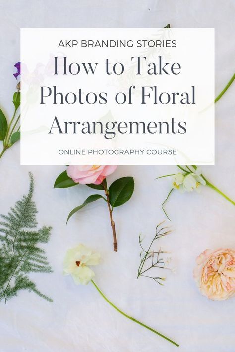 Florist Photography | How to take photos of Floral Arrangements | Online Photography Course | How to take photos of your floral bouquets | Floral Bouquet Photography | Florist Branding Photography | AKP Branding Stories Photography Course | Florist Photography Inspiration | Florist Photography Ideas | Floral Bouquet Photoshoot | Flower Photography Tutorial Bouquet Photoshoot, Flower Arrangement Workshop, Florist Photography, Florist Branding, Become A Florist, Florist Brand, Online Photography Course, Floral Design Business, Bouquet Photography