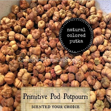 Scented Putka Pod Pumpkins Potpourri 💛 https://crowsnestprimitiveshoppe.com/products/scented-putka-pods-natural-color?variant=22129821581376 #crowsnestprimitive #crowsnestprimitiveshoppe Potpourri Display, Putka Pods, Orange Pomanders, Primitive Pumpkin, Pumpkin Chai, Christmas Mix, Orange Scent, Natural Decor, Bulk Candy