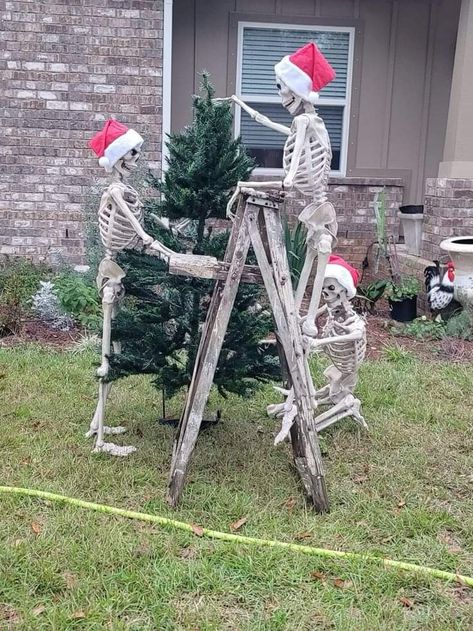 Halloween Skeleton Ideas Outdoor, Skeleton Shenanigans, Skelly Ideas, Skeleton Displays, Skeleton Decorations Outdoor, Skeleton Images, Skull Halloween Decor, Skeleton Poses, Skeleton Ideas