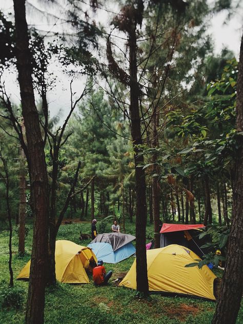 #camping #green Scene Green, Camping Scene, Outdoor Gear, Ivy, Tent, Camping, Green