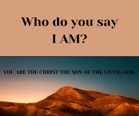 Who do you say I am? See I Am Doing A New Thing Scripture, Doing A New Thing Scripture, A New Thing Scripture, About Jesus, Palm Sunday, Jesus Is, Faith Quotes, Daily Inspiration, Personal Growth