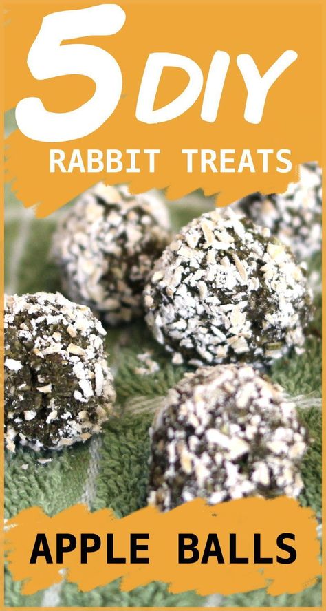 Bunny Treats Diy, Diy Rabbit Treats, Bunny Treats Homemade, Bunny Treats Recipes, Homemade Rabbit Treats, Diy Bunny Toys, Pet Rabbit Care, Rabbit Diet, Rabbit Treats