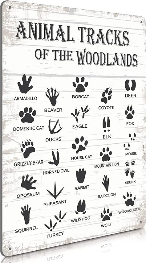 Theme House, Woodland Bedroom, Farmhouse Cabin, Guide Sign, Country Wall Decor, Animal Tracks, Inspire Me Home Decor, Boys Bathroom, Woodland Theme