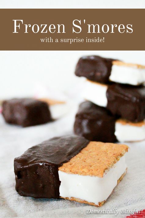 Smores Dessert Recipes, Frozen Smores, Domestically Blissful, Smores Dessert, Smore Recipes, Ice Cream Sandwiches, Summer Treats, Foodie Recipes, S Mores