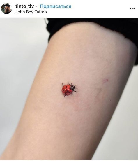 Little Bug Tattoo, Love Bug Tattoo, Ladybird Tattoo, Ladybug Tattoo, Small Tattoos For Women, Lady Bug Tattoo, Bug Tattoo, Insect Tattoo, Handpoke Tattoo