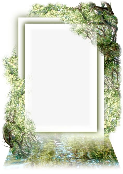 Tree Border, Photo Frame Tree, Personalised Tree Decorations, Digital Graphics Art, Photo Border, Dove Pictures, Colorful Borders Design, Gold Photo Frames, Album Decoration