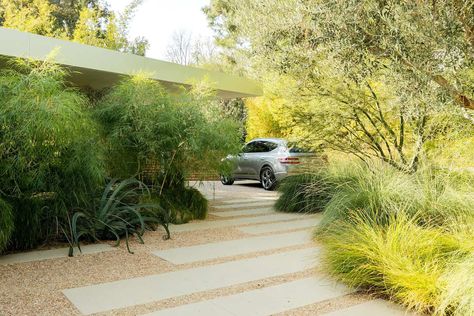 This midcentury home gets an amazing update in the San Fernando Valley Touch The Sky, Front Yard Design, Infinity Edge Pool, Midcentury Home, The Door Is Open, San Fernando Valley, Entry Gates, Yard Design, Modern Landscaping