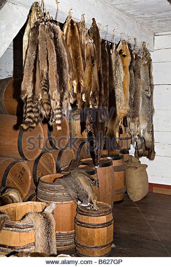 Fur Trading Post Trapping Fur, Taxidermy Diy, Trappers Cabin, Tanning Hides, Mountain Man Rendezvous, Boar Hunting, Fur Trapper, Mountain Men, Hunting Decor