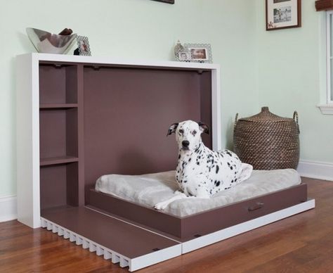 Murphy Dog Beds for Small Spaces Dog Stairs For Bed, Pallet Dog Beds, Bed Stairs, Murphy Bed Ikea, Beds For Small Spaces, Designer Dog Beds, Murphy Bed Diy, Murphy Bed Plans, Diy Dog Bed