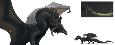 ArtStation - Black Dragon Black Dragon Dnd, Dragon Dnd, Black Scales, Yellow Green Eyes, Black Dragons, Dragon Anatomy, Skull Shape, Dark Water, Dnd Dragons