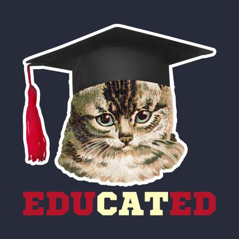 Cat With Graduation Cap, Graduation Cap Designs Cat, Cat Graduation Cap, Wearing Graduation Cap, Cat Graduation, Graduation Cap Card, Senior Stuff, Graduation 2024, Graduation Design