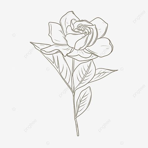 Gardenia Tattoo, Flor Tattoo, Gardenia Flower, Gold Photo Frames, Flower Drawing Tutorials, Flower Outline, Organic Pattern, Stripes Texture, Outline Drawings