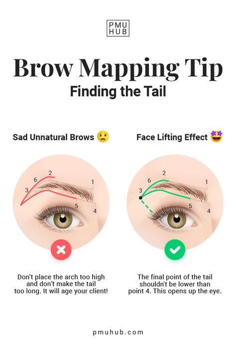 The length and positioning of the brow tail can affect the appearance of an entire face! The placement of the tail plays a critical role in creating facial symmetry and balance. So here’s one quick tip to help you mark the tail in the right position. Easy Brow Mapping, Pmu Brow Mapping, Microblading Eyebrows Training, Facial Symmetry, Mircoblading Eyebrows, Brow Mapping, Eyebrow Trends, Membentuk Alis, Eyebrow Design