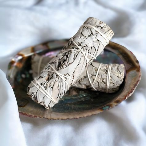 🌿 Discover the soothing powers of white sage! 🌙✨ Dive into our blog for insights on this natural remedy for better sleep. #whitesage #naturalremedies #sleepwell https://enchantingaromas.com.au/blogs/enchanting-aromas-blog/white-sage-for-better-sleep Sage Sticks, Cleanse Your Home, Sage Smudge Sticks, Christening Candle, White Sage Smudge, Sacred Plant, Sage Smudge, Latin Word, Farewell Gifts