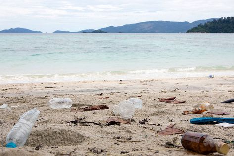 Plastic bottles and other waist washed on the beach. Trash On Beach, Plastic Trash, Clean Beach, Ap Art, On Beach, Screen Savers, Plastic Bottles, Royalty Free Stock Photos, The Beach