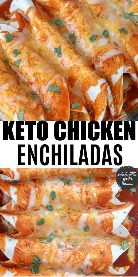 Keto Chicken Enchiladas, Low Carb Enchiladas, Mexican Dinner, Low Carb Tortillas, Low Carb Diet Recipes, Healthy Low Carb Recipes, Low Carb Dinner Recipes, Keto Recipes Dinner, Diet Vegetarian