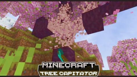 Tree Capitator Addon (1.21, 1.20) - MCPE/Bedrock Mod Mcpe Mods, Minecraft Addons, Minecraft Tree, Minecraft Seed, Map Minecraft, Jungle Tree, Minecraft House Tutorials, Acacia Tree, Spruce Tree