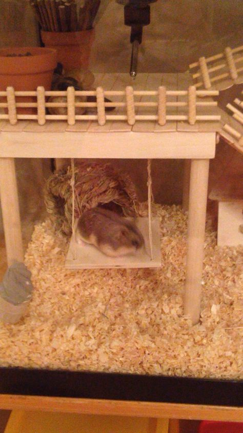 hamster; gaiola; inspiração; palitos de picolé;                                                                                                                                                      Mais Diy Hamster House, Kandang Hamster, Diy Hamster Toys, Hamster Diy Cage, Hamster Diy, Hamster Life, Hamster Habitat, Hamster Bedding, Hamster Food