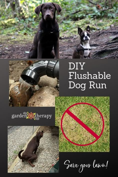 Build a DIY Flushable Dog Run and Save Your Lawn!