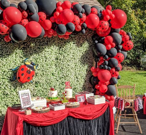 Ladybug Balloon Garland, Ladybug Backdrop, Ladybug Baby Shower Decorations, Ladybug Baby Shower Theme, Ladybug Birthday Theme, Ladybug 1st Birthday, Ladybug Party Decorations, Miraculous Ladybug Party