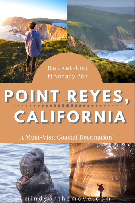 West Coast Bucket List, North Cascades National Park Itinerary, Sequoia National Park One Day Itinerary, Point Reyes California, West Coast Road Trip Itinerary, Cypress Tree Tunnel, California Roadtrip, Pinnacles National Park, Point Reyes National Seashore