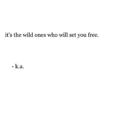 Wild 😜 Quote Inspirational, Quote Life, I'm With The Band, Wild One, Wild Ones, Motivational Quote, A Quote, Poetry Quotes, Rumi