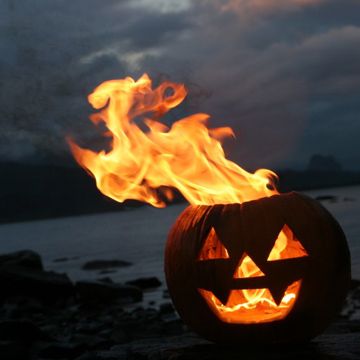 Jack-o-lantern campfire. so cool!  We have HUGE pumpkins in our garden. This would be SO COOL in the fire pit! Carved Pumpkin, Samhain, Jack O, A Pumpkin, On Fire, Jack O Lantern, Halloween