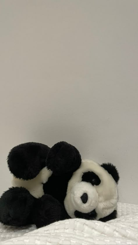 Cute Panda Plushie Aesthetic, Panda Stuff Toy, Black Teddy Bear Wallpaper, Panda Aesthetic Wallpaper, Edit Home Screen, Panda Teddy, Home Screen Widgets, Black Teddy Bear, Pastel Iphone Wallpaper