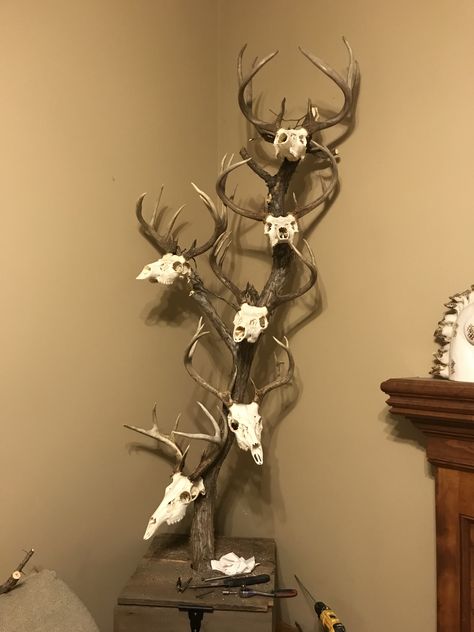 Guess, Ted, Jimmy, Fred, Elliot How To Display European Mounts, Deer Skull Mount Display, Deer Horn Decor Ideas, Antler Mount Diy, European Mount Decor, Decorating With Deer Mounts, Euro Mount Ideas, European Deer Mount Ideas, Antler Mount Ideas