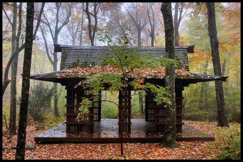 Tea House1 Japanese Pavilion, Japanese Backyard, Big Forest, Thailand Style, Fall Foilage, North Alabama, Cabin Camping, Building Ideas, Favorite Season