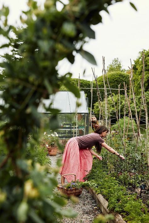 At home with our food editor in her historic Devon hall house | House & Garden Tropical Cottage, Devon House, English Country House Style, English Houses, Hall House, Garden Fence Panels, Riverside House, English Decor, English Country Style