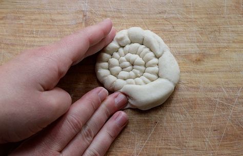 Salt Dough Fossils, Diy Fossils, How To Make Salt Dough, Fossils Activities, Fossil Art, Clay Classes, Spiral Shell, Diy Preschool, How To Make Clay