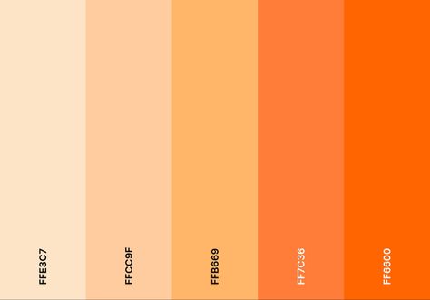 Orange gradient color palette starting from a very pale light orange transitioning to a light peach color and then into a very bright and opaque orange Yellow To Orange Gradient, Orange And Tan Color Scheme, Orange Color Pallete Colour Palettes, Orange Hues Colour Palettes, Reddish Orange Color Palette, Orange And Yellow Color Scheme, Orange Sunset Color Palette, Orange Aesthetic Color Pallete, Orange Creamsicle Color Palette