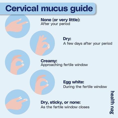 Cycle Hormones, Menstrual Cycle Phases, Fertility Vitamins, Ovulation Cycle, Fertility Awareness Method, Cervical Mucus, Planning Pregnancy, Fertility Awareness, Fertility Health