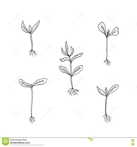 Tiny Potted Plant Tattoo, Seedling Tattoo Simple, Plant Growing Tattoo, Simple Plant Tattoos For Women, Sprout Tattoo Plant, Plant Sprout Tattoo, Plant Propagation Tattoo, Growing Plant Tattoo, Planting Tattoo