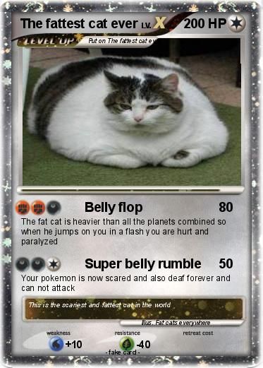 Funny Pokemon Cards, Pokemon Card Memes, Pokemon Memes Funny, Anna Robinson, Star Wars Minecraft, Fake Pokemon Cards, Pokemon Card Packs, Cat Pokemon, The Fat Cat