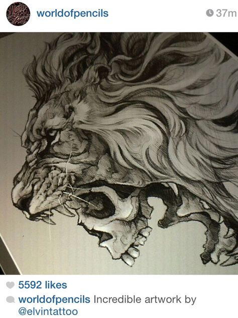 Lion + skull this would make a bad ass tattoo Biomech Tattoo, Tier Tattoo, Desenho Tattoo, Wolf Tattoos, Design Tattoo, Cool Sketches, Skull Tattoos, Lion Tattoo, Trendy Tattoos