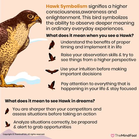 Hawk as a spirit animal indicates you have to step back and see things from a broader perspective. You have spent a lot of time in calculating the finer details. Now you should focus on the big picture. Observe the situation because the Universe might have an important message for you to learn. Be ready for any hostility and defend yourself bravely. #HawkSymbolism #HawkMeaning Falcon Meaning Spirit Animal, Hawk Meaning Seeing A, Red Tailed Hawk Spirit Animal, Spiritual Meaning Of Hawk, Hawk Symbolism Meaning, Seeing A Hawk Meaning, Hawk Meaning Spirit Animal, Hawk Spirit Animal Meaning, Hawk Spiritual Meaning