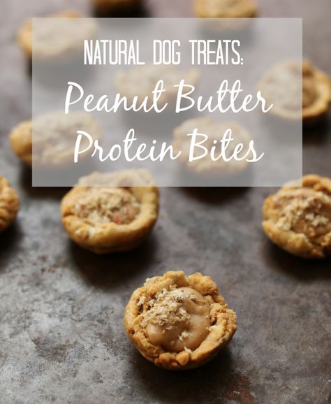 Natural Dog Treat Recipe: Peanut Butter Protein Bites | 17 Apart Pug Food, Natural Dog Treats Recipes, Peanut Butter Protein Bites, 3 Ingredient Dog Treats, Dog Friendly Cake, Dog Treat Recipe, Apple Treat, Doggie Treats, Peanut Butter Dog Treats