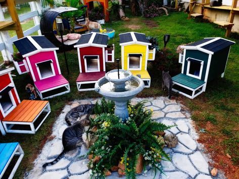 Woman Transforms Her Passion For Helping Abandoned And Feral Cats Into Catville - Cole & Marmalade Cat Habitat, Feral Cat Shelter, Feral Cat House, Cat Area, Cat Houses, Cat House Diy, Feral Cat, Cat Sanctuary, Outdoor Shelters