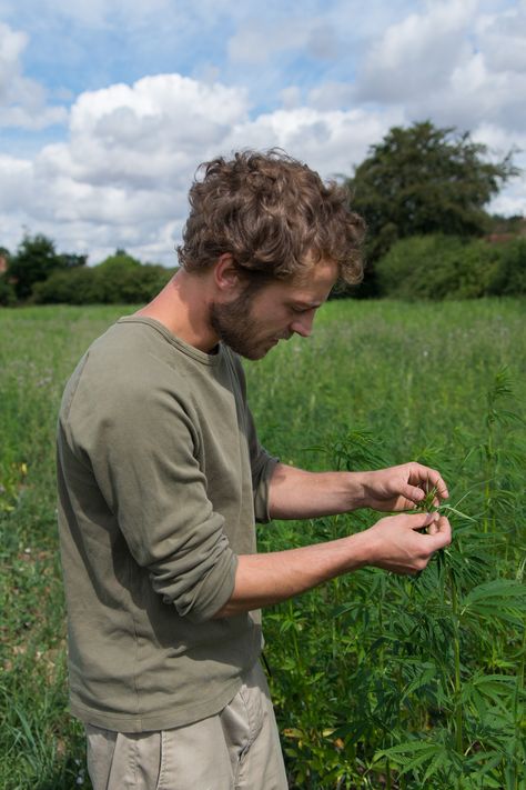 man holding plant in field of hemp Growing Hemp At Home, Hemp Farming, Hemp Farm, Hemp Facts, Hemp Textiles, Hemp Leaf, Environmental Impact, Together We Can, Sustainability