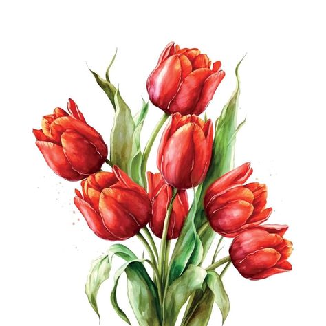 Tulips Clipart, Red Tulips Bouquet, Tulip Clipart, Flower Graphics, Tulip Pattern, Wall Decor Decals, Tulip Bouquet, Watercolor Red, Red Tulips