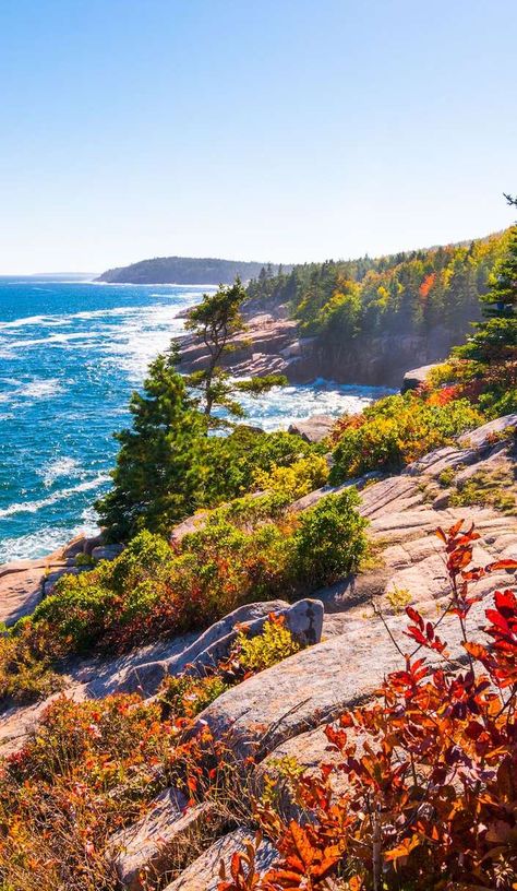 A beginner's guide to Acadia National Park on Roadtrippers Northeast Us Travel Destinations, Acadia National Park Aesthetic, Acadia Photography, Acadia National Park Photography, Acadia National Park Camping, Acadia Maine, Maine Road Trip, Maine Photography, Acadia National Park Maine