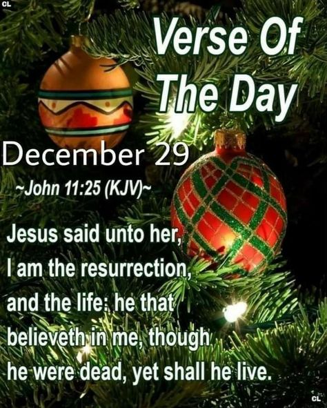 December 29 Quotes, December 29 Bible Verse, December 29 Blessings, December 29th Blessings, December 27, December 23, December Wishes, December Scriptures, Love My Kids Quotes