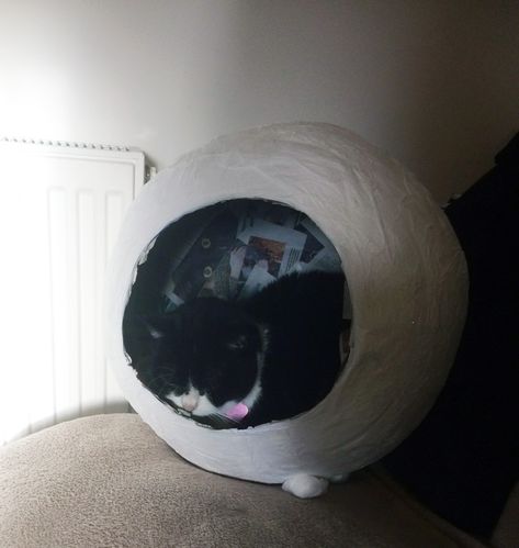 Paper Mache Cat House, Paper Mache Snowman, Diy Paper Mache, Cats Stuff, Valentine Box, Cat Stuff, Cat House, Paper Mache, Cat Bed