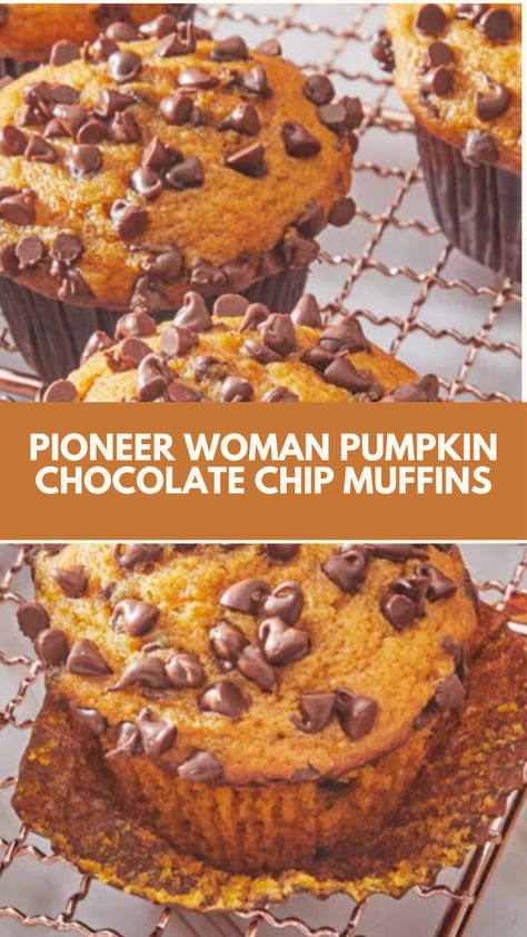 This easy Pioneer Woman Pumpkin Chocolate Chip Muffins recipe is perfect for cozy mornings or a sweet snack. With a soft, moist texture and a delicious combo of pumpkin and chocolate, it’s quick to make and uses common ingredients. These muffins are a simple, fall-inspired treat everyone will love! Best Pumpkin Chocolate Chip Muffins, Pumpkin Chocolate Chip Muffins Moist, Pumpkin Muffins With Real Pumpkin, 1 Cup Of Pumpkin Recipes, Punkin Muffins Recipe Easy, Pumpkin Chip Muffins, Pumpkin Muffins With Buttermilk, Pumpkin Chocolate Chip Recipes, Best Pumpkin Muffins Recipe