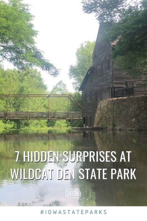 Wildcat Den State Park Iowa, Iowa Road Trip, Muscatine Iowa, Iowa Travel, Grist Mill, Wildlife Park, Iowa State, Rv Life, Road Trip Usa