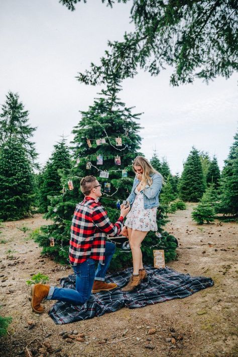 Christmas Proposal Engagement, Christmas Tree Proposal, Christmas Tree Farm Proposal, November Proposal Ideas, Farm Proposal Ideas, Tree Farm Engagement Pictures, Proposal Ideas Christmas, Tree Farm Proposal, Proposal Ideas Winter