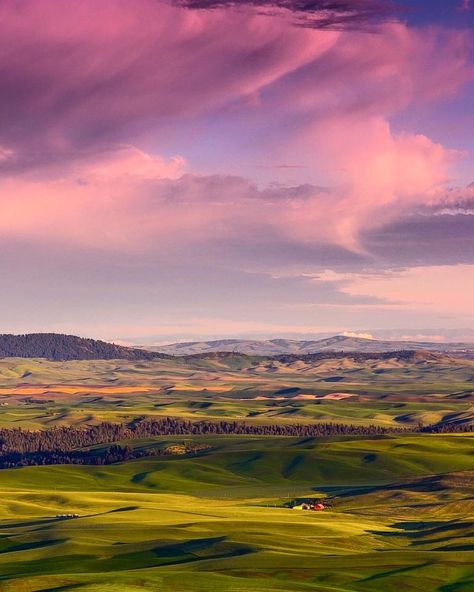 Palouse Country near Moscow, ID.  "Little Red Barn tossed on a Windswept Sea".  Photo by Hannah Grieser  of Moscow, Idaho. Moscow Idaho, Facial Expressions Drawing, Music Cover Photos, University Of Idaho, Happy Pictures, Sea Photo, Travel Outdoors, Dream City, Red Barn