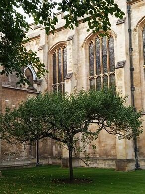 Ivy College, Cambridge College, British Aesthetic, Gothic Revival Architecture, Revival Architecture, Cambridge England, Victorian Buildings, Ideal World, College Aesthetic